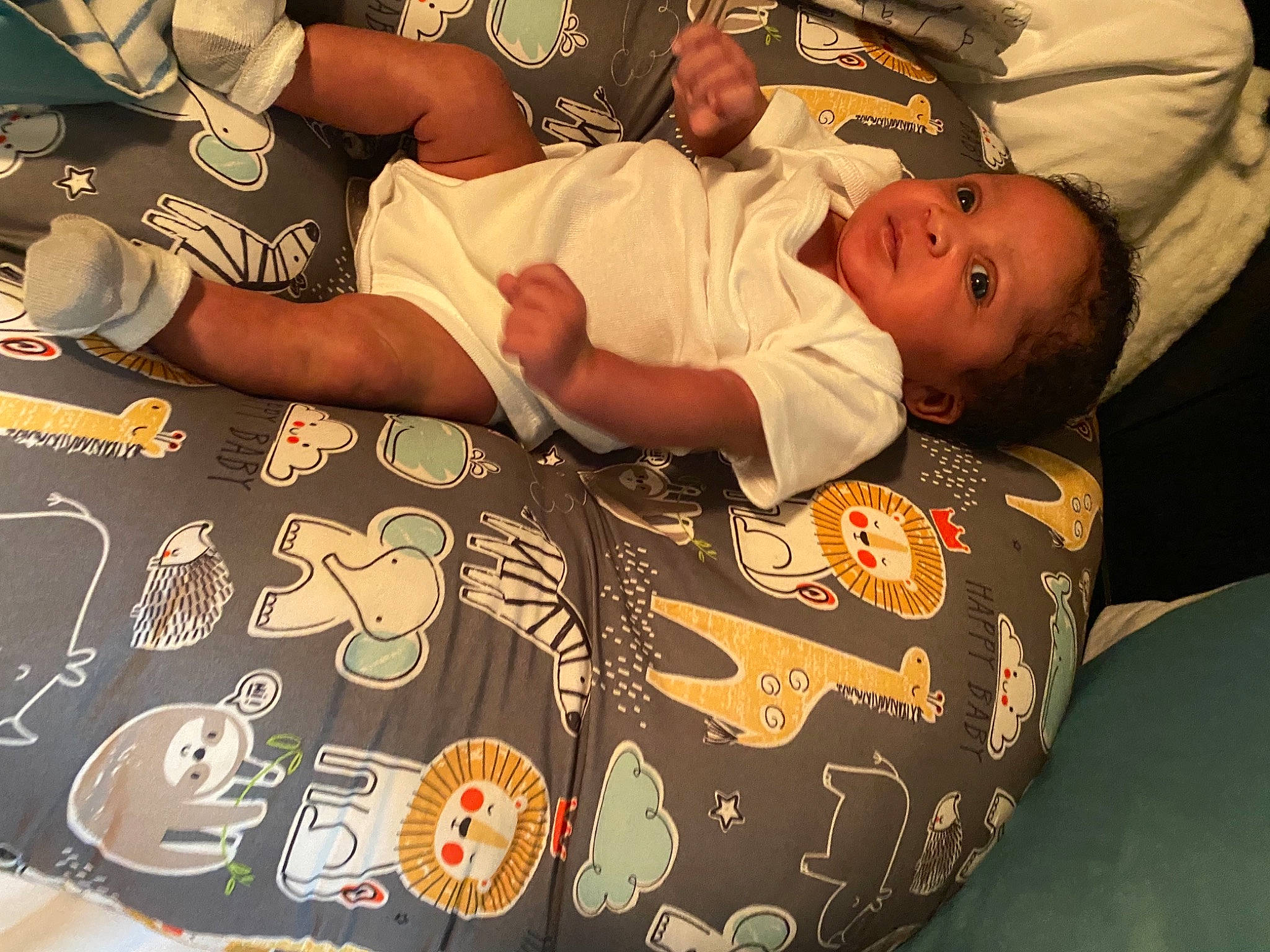 Kaiser is registered to the contest to win money with this photo: art, baby, baby_products, baby_toddler_clothing, child, comfort, flooring, font, happy, linens, mammal, pattern, person, sleeve, smile, t_shirt, textile, toddler, vertebrate, white