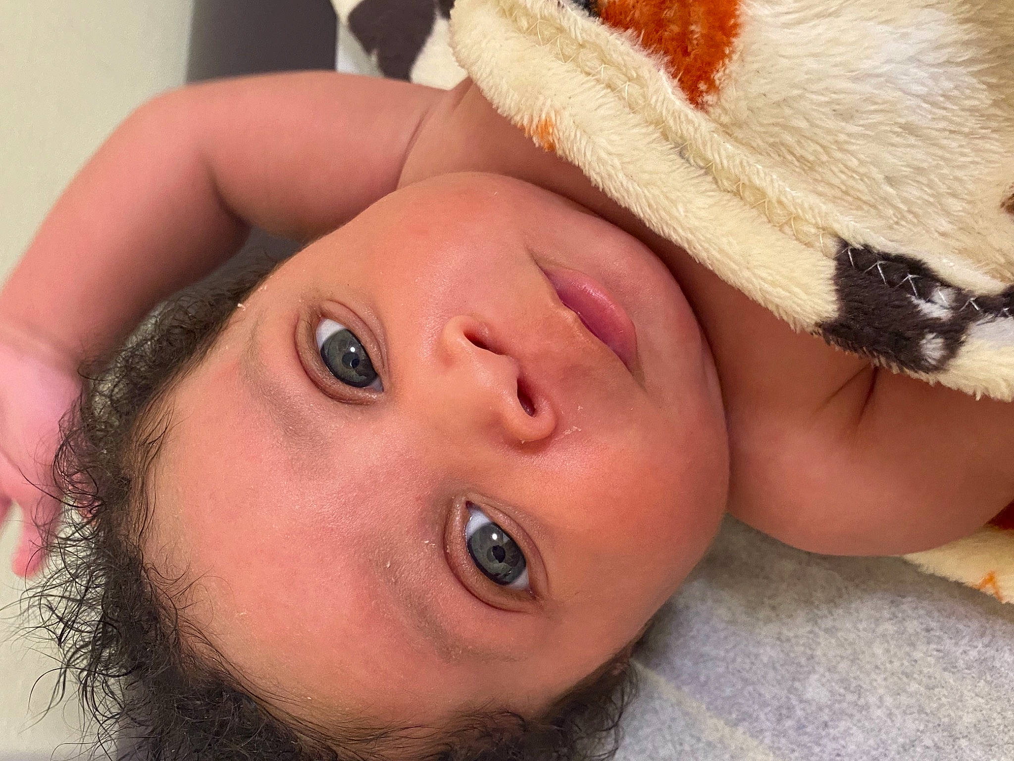 Kaiser joined the competition — help win amazing prizes! cheek, chin, ear, eyebrow, eyelash, face, glasses, hand, human_body, jaw, lip, mouth, muscle, neck, nose, organ, person, plant, shoulder, skin