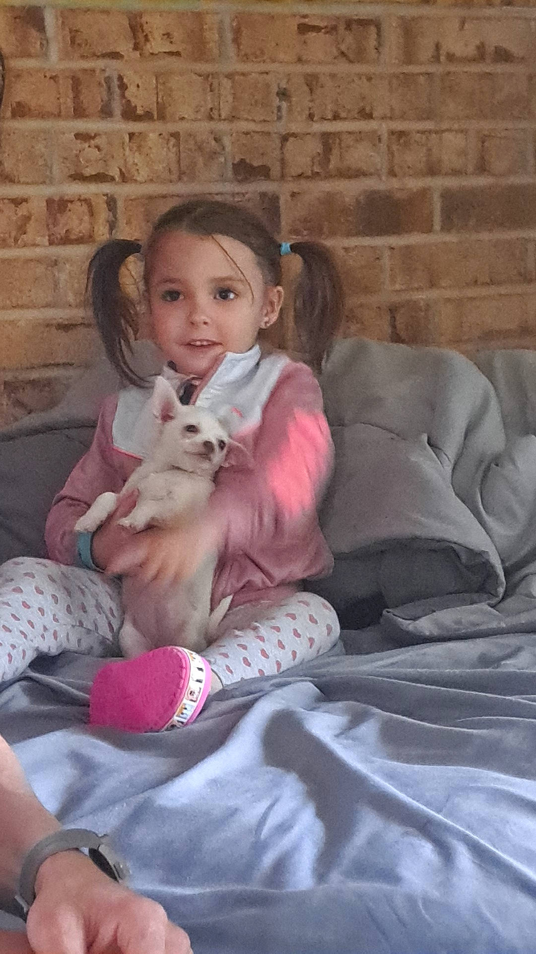 Amaiyah Rayne joined the competition — help win amazing prizes! brick, canidae, carnivore, child, comfort, companion_dog, fawn, felidae, foot, fun, fur, happy, human_leg, knee, lap, person, sitting, small_to_medium_sized_cats, thigh, toddler