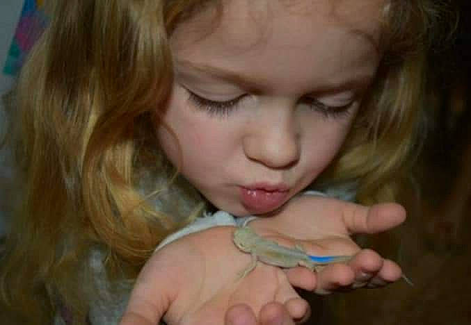 Averey Nevaeh is registered to the contest to win money with this photo: blond, brown_hair, cheek, child, eye, eyebrow, face, finger, hair, hand, iris, lip, long_hair, mouth, neck, nose, organ, person, skin, toddler