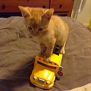 Finn is registered to the contest to win money with this photo: