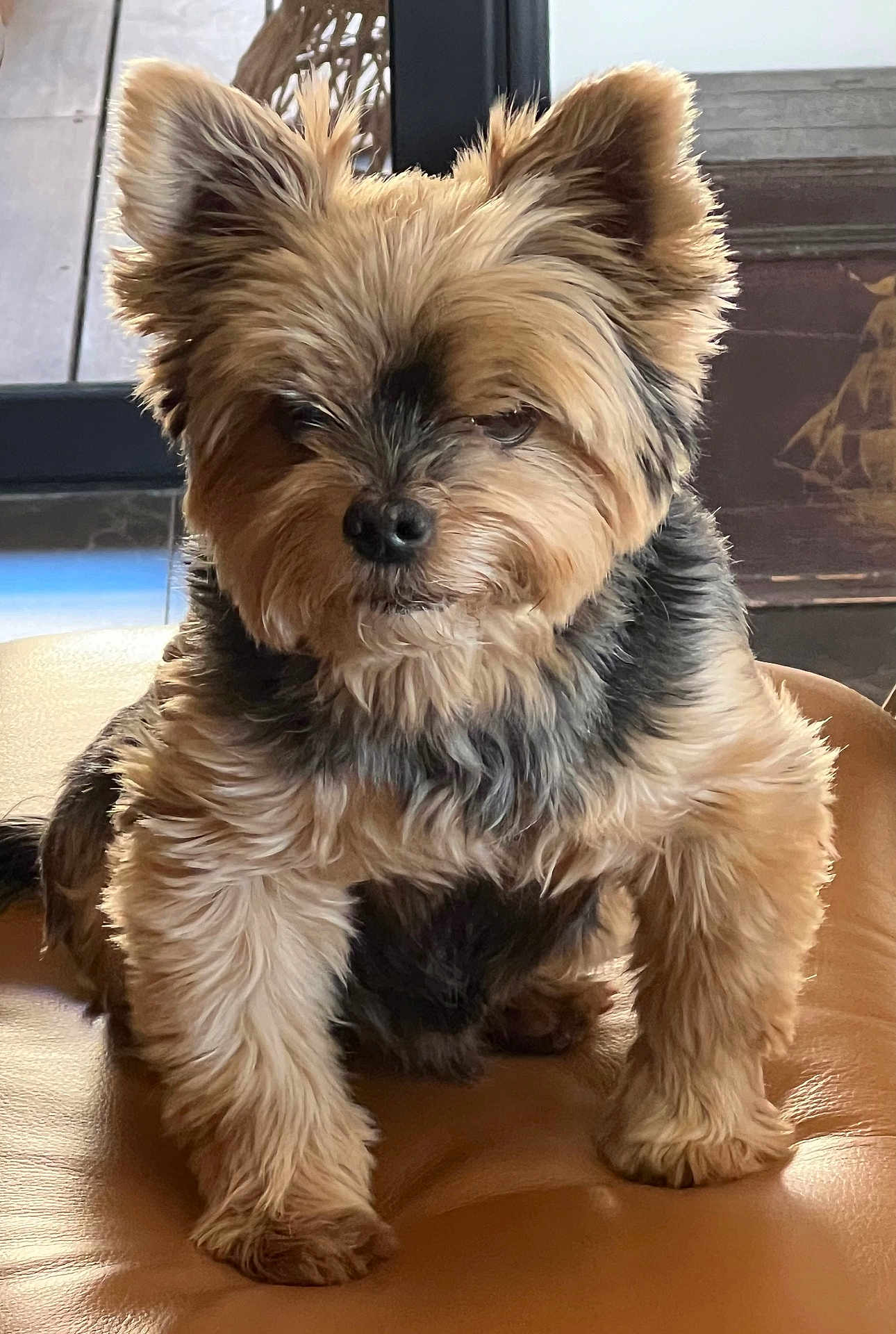 Charly