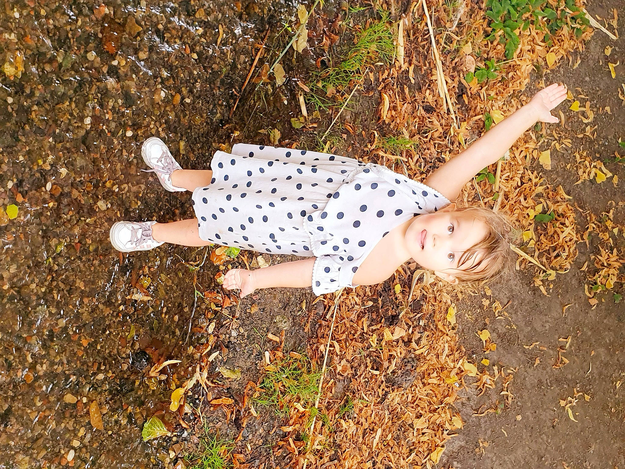 Lena participe au concours pour gagner de l'argent avec cette photo : eyewear, fawn, field, fun, grass, grassland, happy, human_leg, knee, pattern, people_in_nature, person, recreation, shadow, soil, sunglasses, sunlight, tail, tints_and_shades, tree