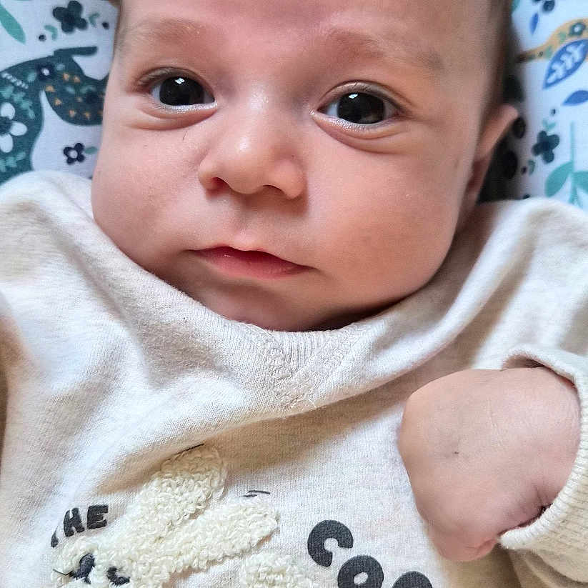Andréa participe au concours pour gagner de l'argent avec cette photo : baby, bunnies, child, closeup, clothing, cute, expression, eyes, face, floral_pattern, hand, indoor, infant, lying_down, patterned_blanket, portrait, skin, soft_lighting, sweater, young