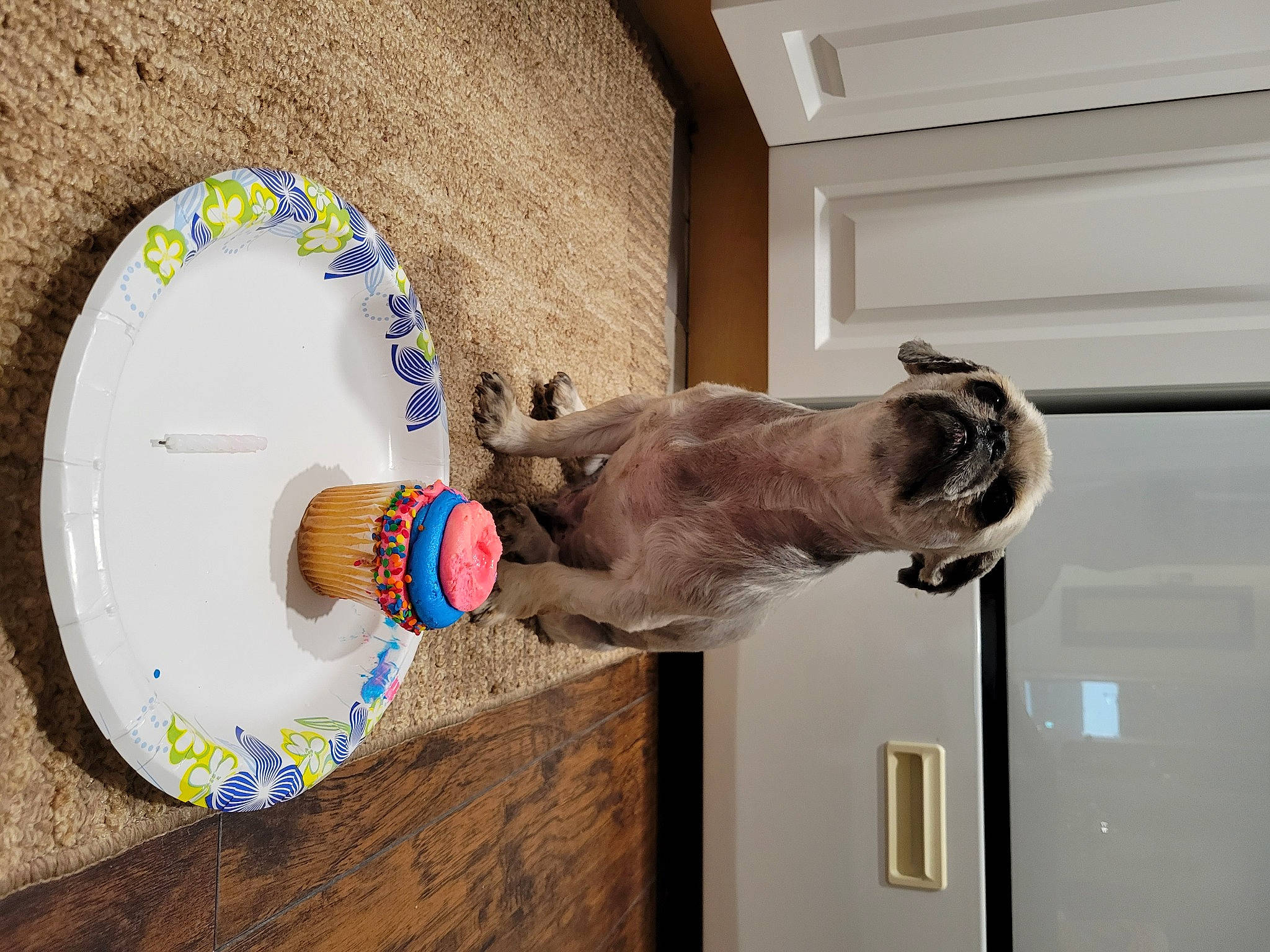 Pookie joined the competition — help win amazing prizes! art, ball, circle, concrete, dog, fawn, mammal, metal, plaster, recreation, room, sculpture, snout, sporting_group, statue, visual_arts, wood