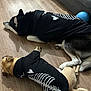 Blue is registered to the contest to win money with this photo: animal, black, brown, clothing, cozy, cute, dog, floor, home, hoodie, indoor, laying_down, matching_outfits, pet, puppy, relaxing, resting, skeleton_print, toy, wooden_floor