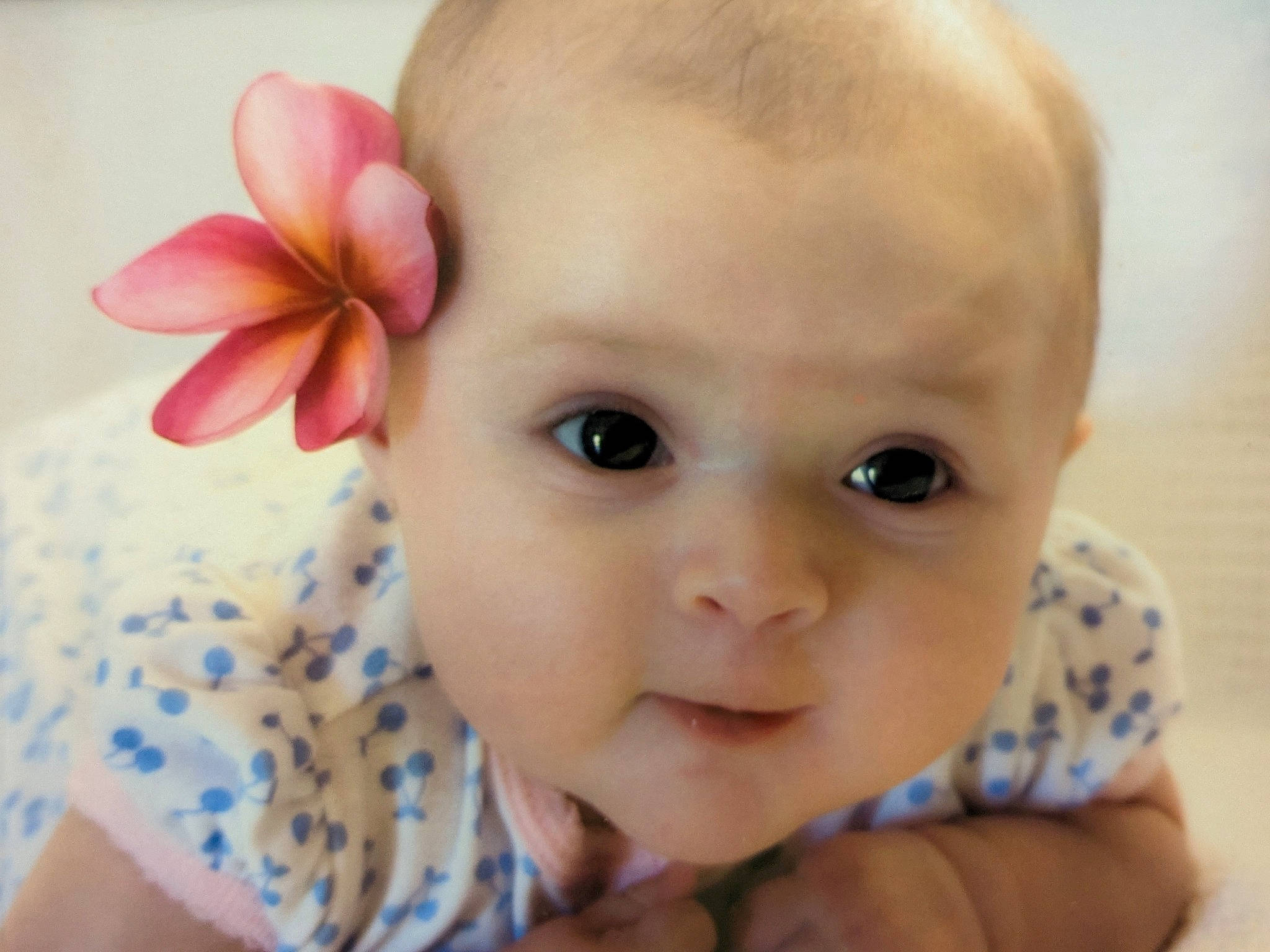 Kayla is registered to the contest to win money with this photo: baby, baby_toddler_clothing, cheek, child, close_up, collar, ear, eyelash, finger, flower, happy, iris, lip, nose, pattern, person, petal, skin, smile, textile