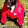 Tayra