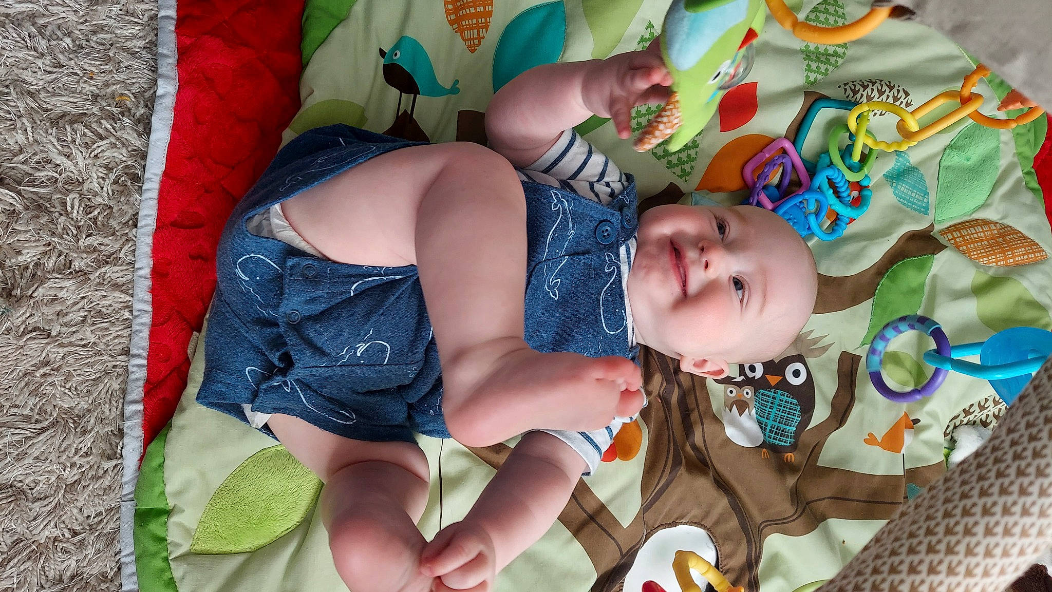 Finnick is registered to the contest to win money with this photo: abdomen, baby, baby_products, baby_toddler_clothing, cheek, chest, comfort, eye, finger, fun, green, hand, happy, headwear, human_body, human_leg, joy, pattern, person, skin