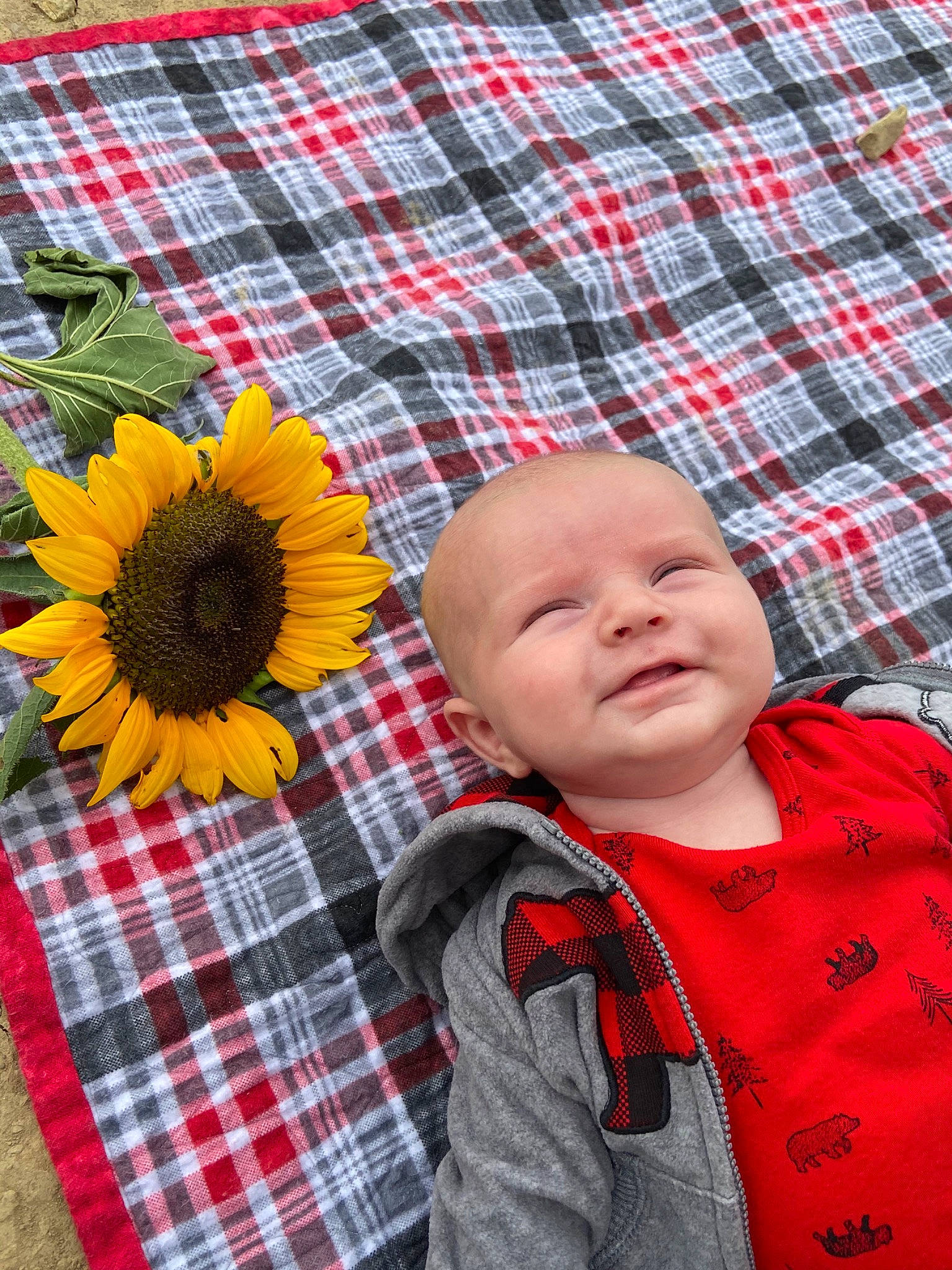 Hudsen joined the competition — help win amazing prizes! baby, child, daisy_family, design, flower, pattern, person, plaid, plant, sunflower, tartan, textile, toddler, yellow