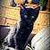 Salem