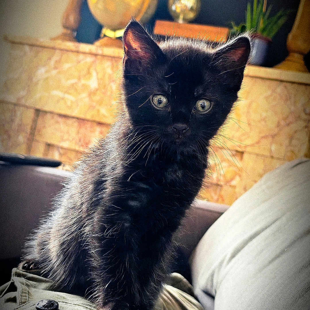 Salem
