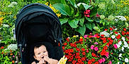 Yassine a rejoint le concours — aidez-le/la à gagner de superbes lots ! baby, buildings, child, cute, flower_bed, grass, greenery, happy, nature, outdoor, park, pathway, pink_flowers, plants, red_flowers, stroller, sunny_day, toy, urban, white_flowers