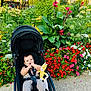baby, buildings, child, cute, flower_bed, grass, greenery, happy, nature, outdoor, park, pathway, pink_flowers, plants, red_flowers, stroller, sunny_day, toy, urban, white_flowers