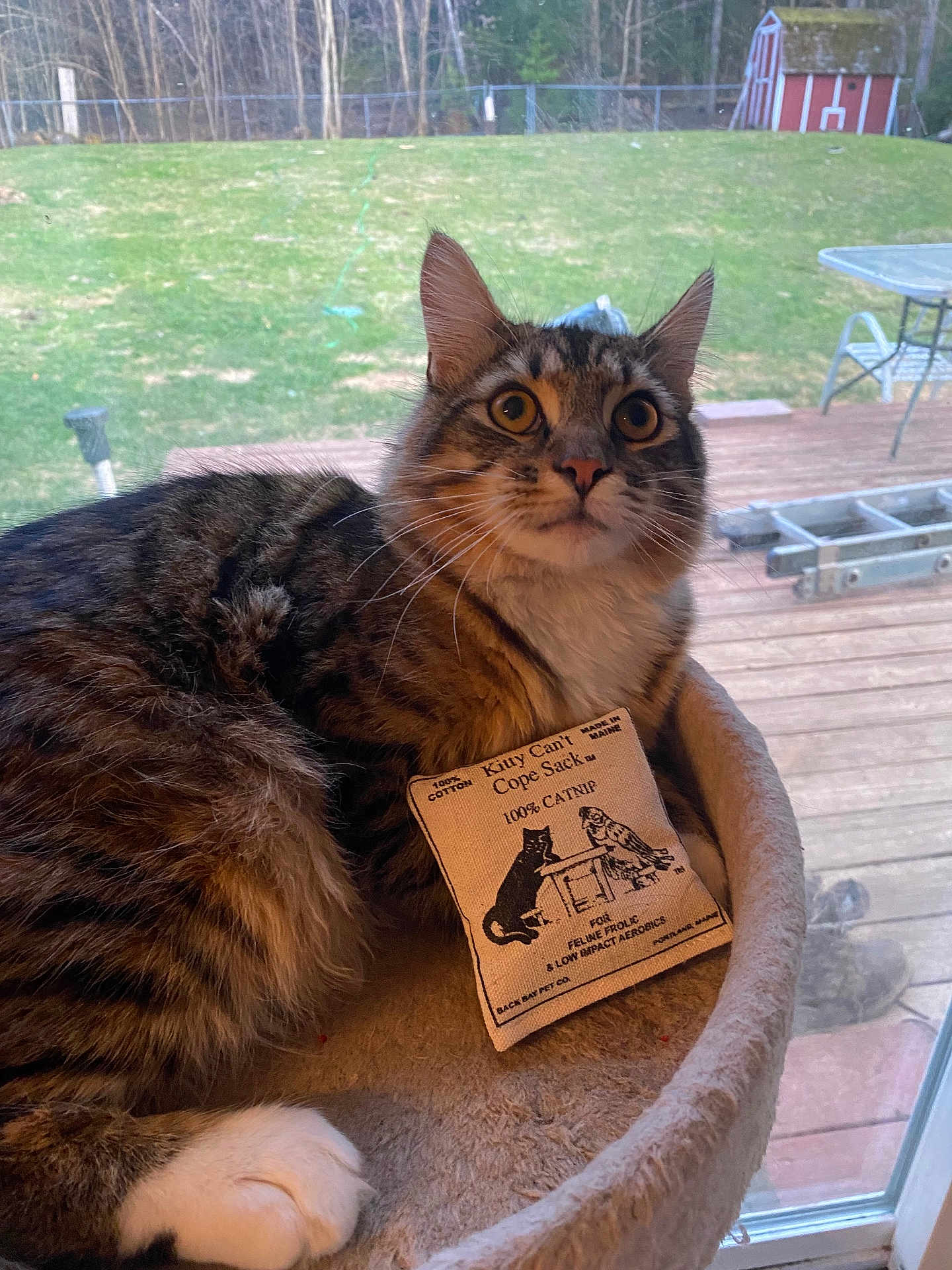 Sam