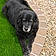 Lucy