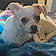 Zoey