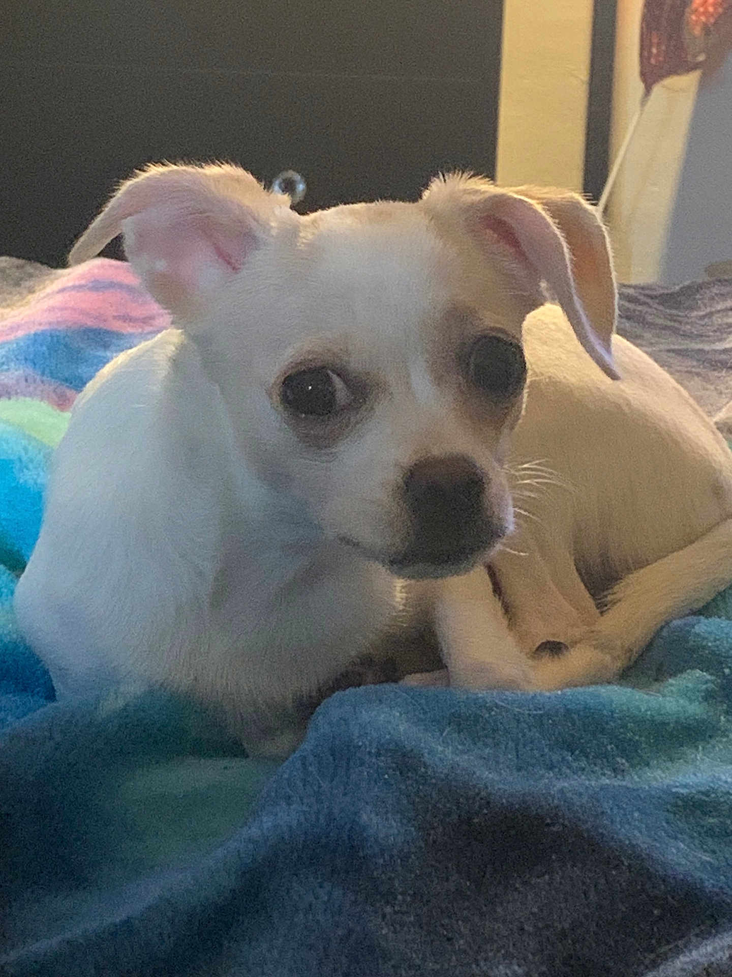 Zoey
