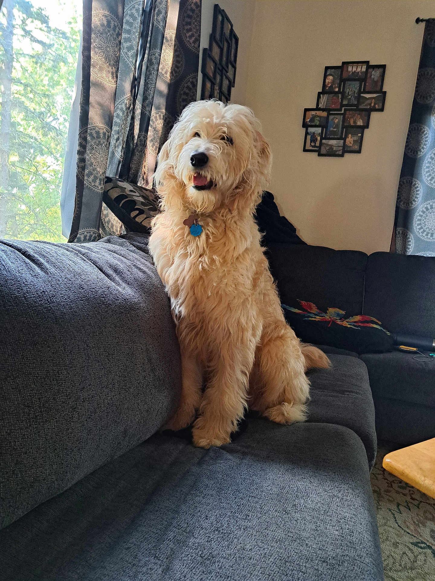 Grady