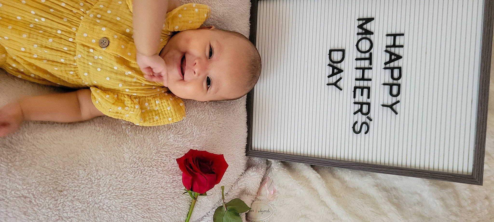 Elliana is registered to the contest to win money with this photo: artificial_flower, baby, baby_toddler_clothing, beauty, child, flower, flower_arranging, font, happy, hybrid_tea_rose, joy, pattern, person, petal, plant, rectangle, rose, rose_order, skin, smile