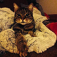 Daddy participe au concours pour gagner de l'argent avec cette photo :