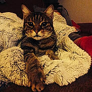 Daddy a rejoint le concours — aidez-le/la à gagner de superbes lots !