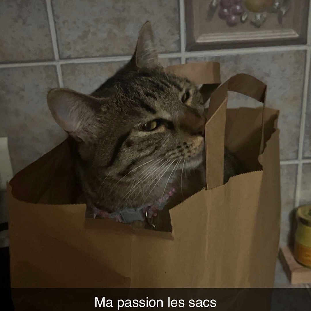 Nala participe au concours pour gagner de l'argent avec cette photo :