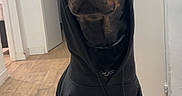 Dark participe au concours pour gagner de l'argent avec cette photo : animal, black_and_brown, black_dog, canine, clothing, costume, doberman, dog, door, fashion, front_view, hallway, hoodie, indoors, pet, photography, portrait, serious_expression, sitting, wooden_floor