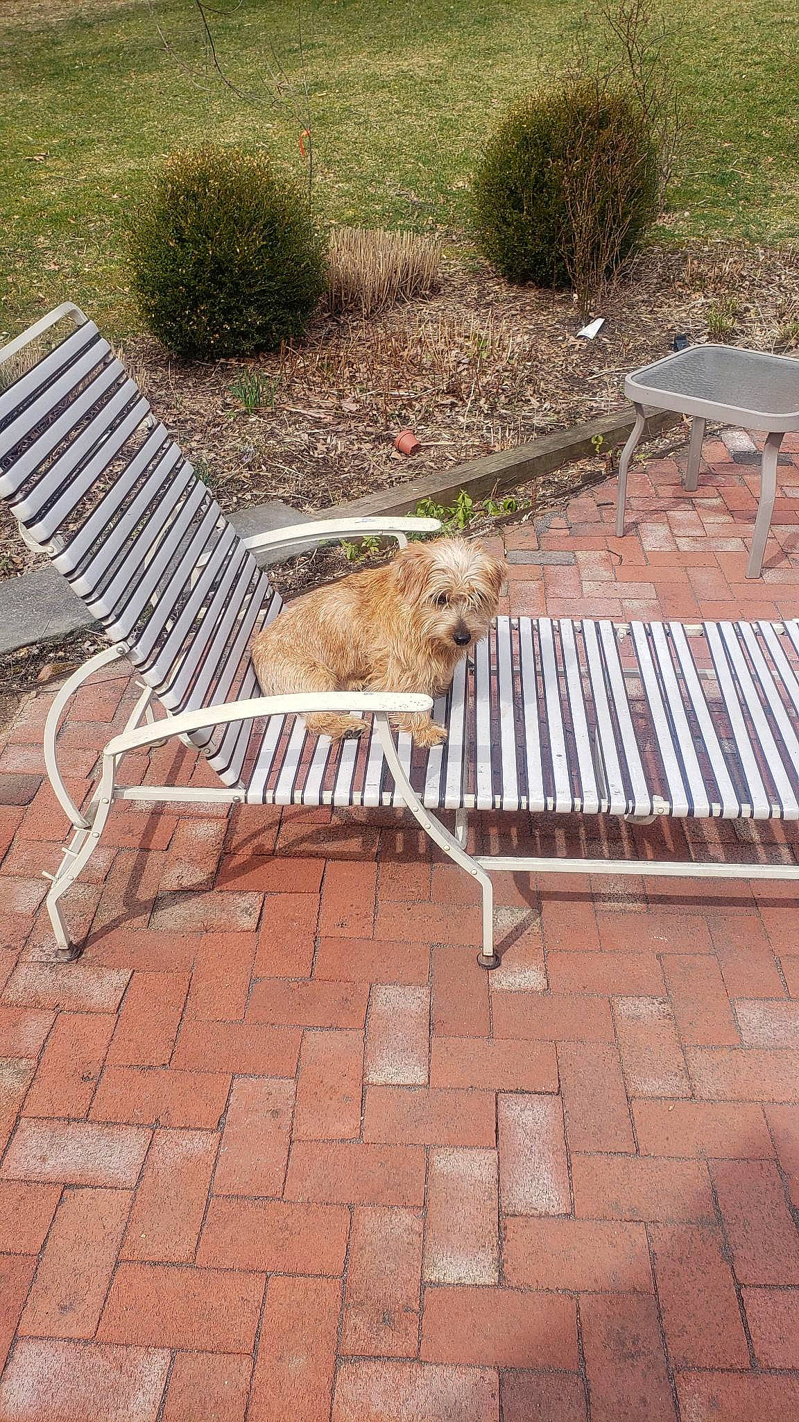 Paddington joined the competition — help win amazing prizes! asphalt, brick, chair, city, flagstone, flooring, furniture, grass, groundcover, landscape, outdoor_bench, outdoor_furniture, plant, road_surface, sidewalk, street_furniture, table, tree, urban_design, wood