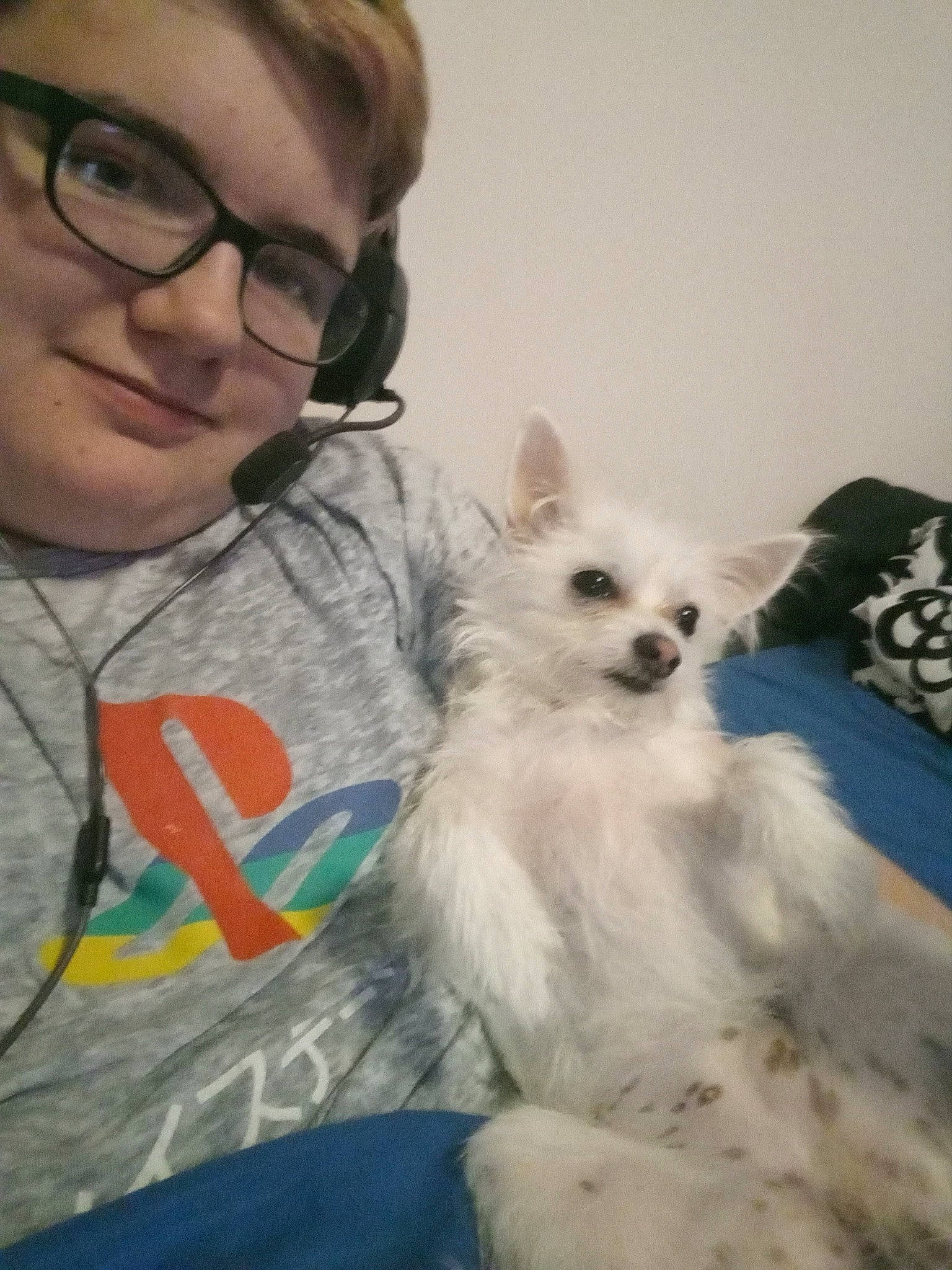 Bubbles joined the competition — help win amazing prizes! canidae, carnivore, companion_dog, dog, dog_breed, ear, head, mammal, nose, pomeranian, puppy, puppy_love, skin, toy_dog, vertebrate, whiskers