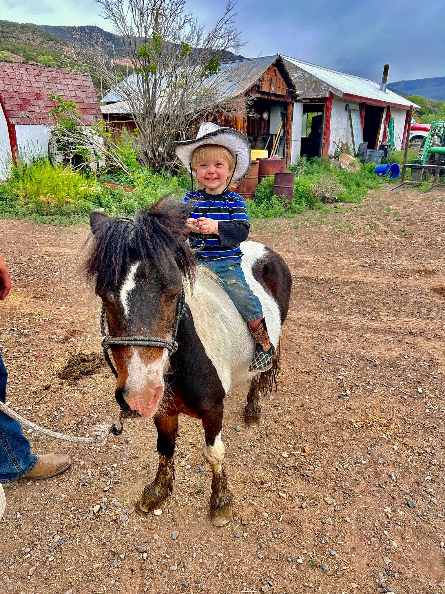 Colton joined the competition — help win amazing prizes! bridle, cloud, equestrian_sport, equestrianism, grass, grassland, hat, horse, horse_supplies, horse_tack, joy, landscape, pack_animal, person, plant, recreation, rein, rural_area, saddle, sky