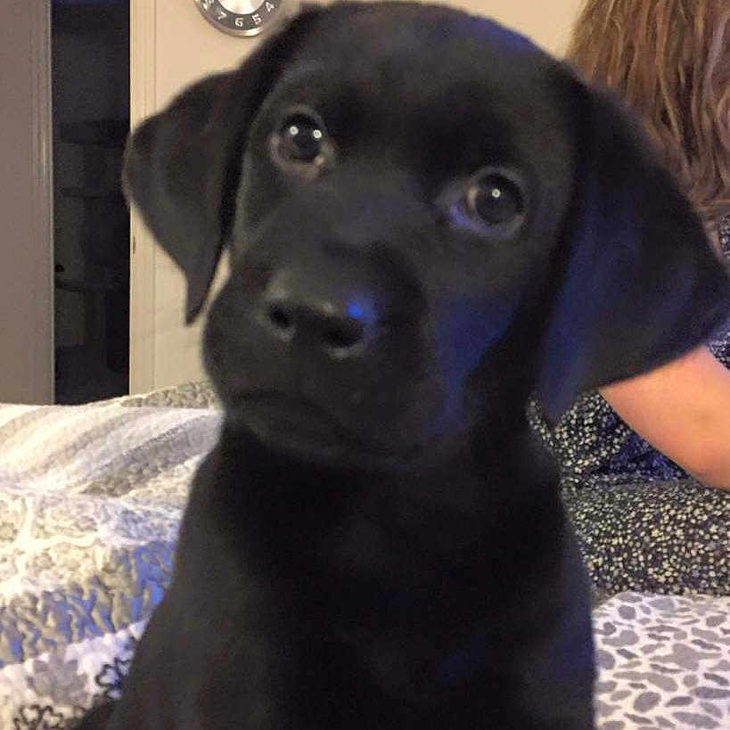 Mac
