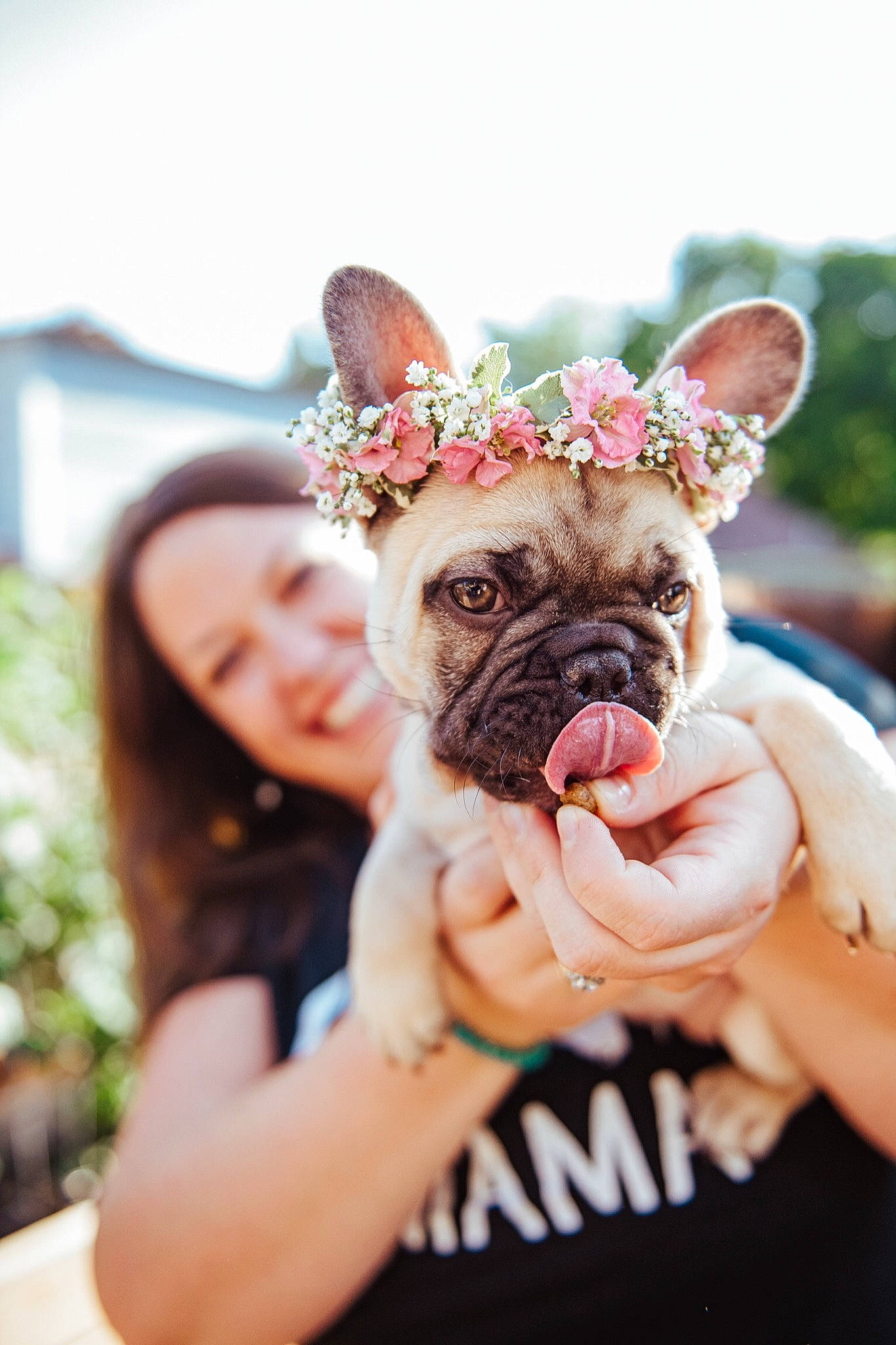 Piglet joined the competition — help win amazing prizes! arm, bulldog, carnivore, companion_dog, dog, dog_breed, dress, eyewear, fawn, gesture, glasses, grass, hand, happy, pink, plant, skin, sunglasses, toy_dog, wrinkle