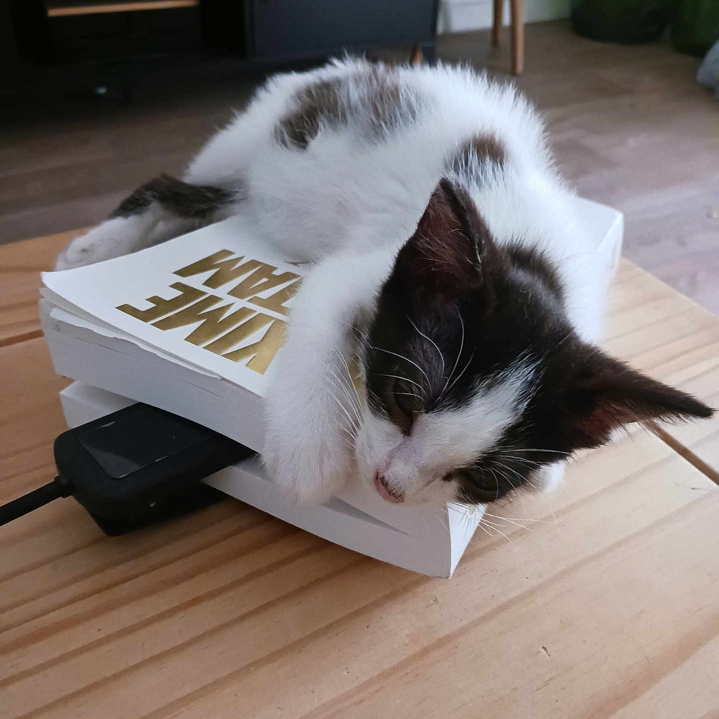 Poupée