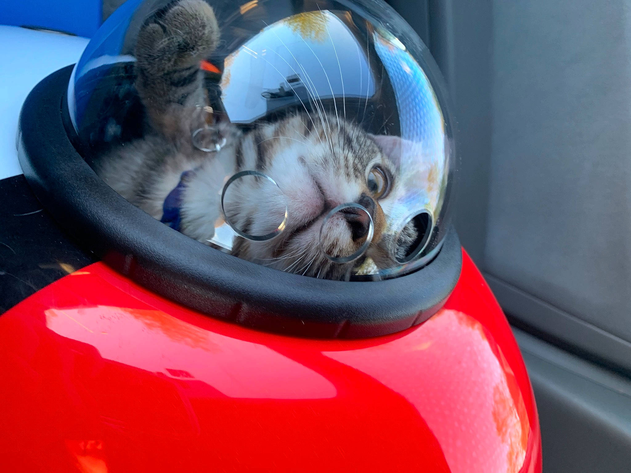 Hades joined the competition — help win amazing prizes! auto_part, automotive_design, automotive_exterior, automotive_lighting, automotive_wheel_system, automotive_window_part, bumper, car, family_car, glass, headlamp, hood, mode_of_transport, motor_vehicle, personal_luxury_car, rim, trunk, vehicle, vehicle_door, windshield