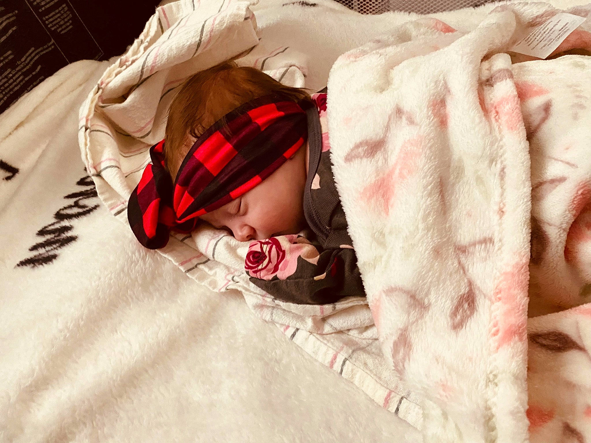 Dixie joined the competition — help win amazing prizes! bed, bed_sheet, bedding, bedroom, carmine, comfort, eyelash, eyewear, fashion_accessory, fashion_design, finger, fur, headwear, human_leg, linens, mouth, pattern, person, skin, sleeve