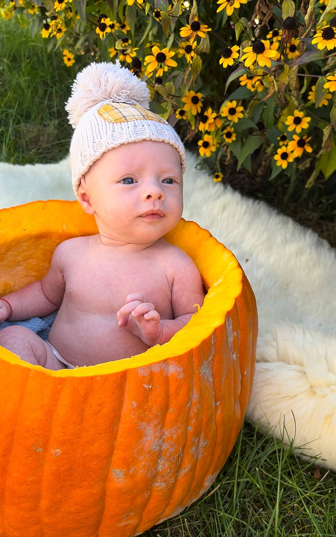 Jesse joined the competition — help win amazing prizes! baby, baby_products, baby_toddler_clothing, bathing, cap, chair, child, eye, flower, fun, grass, happy, headwear, jewellery, leisure, orange, people_in_nature, person, plant, sitting
