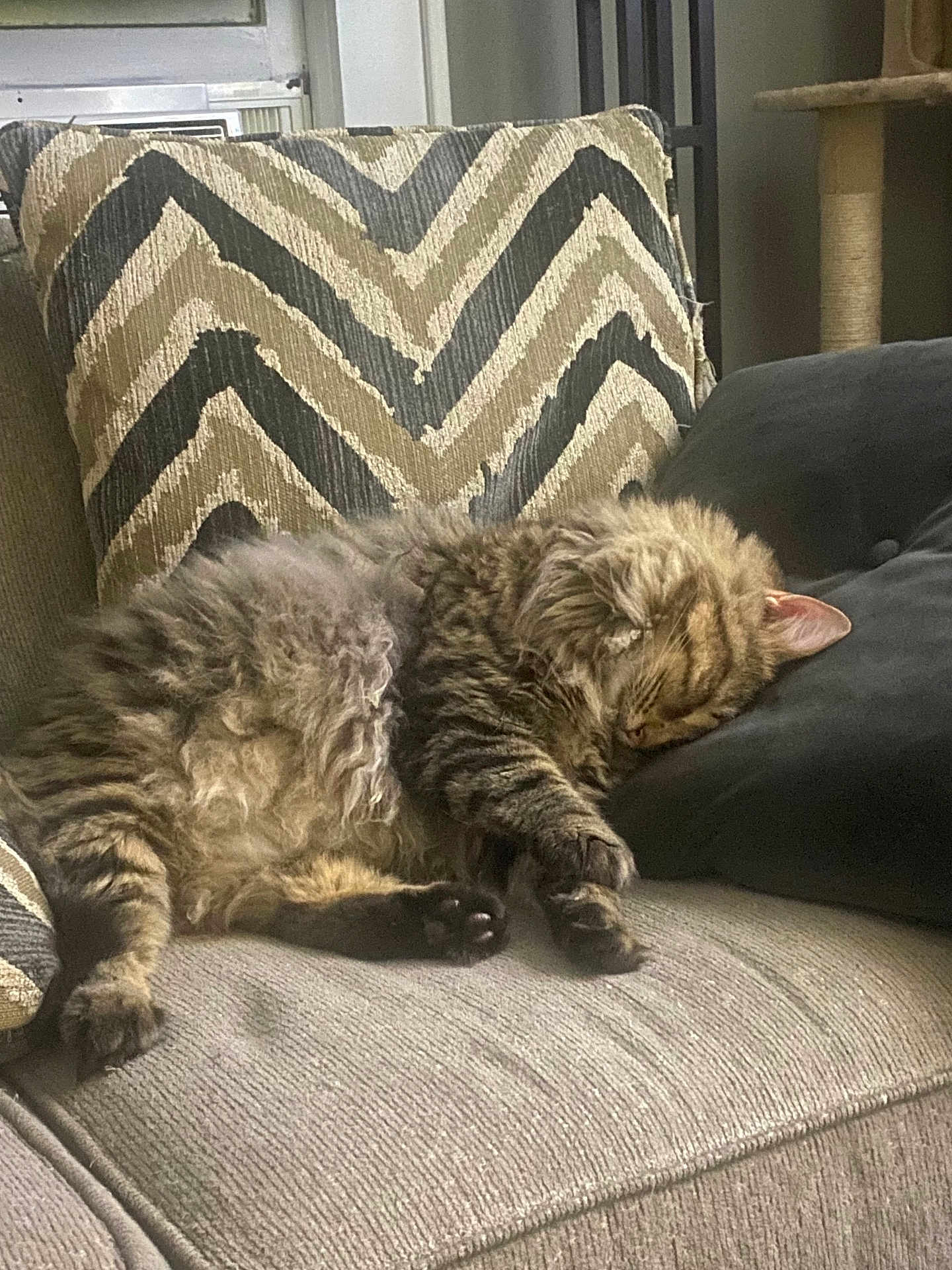 Mittens
