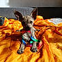 dog, puppy, brindle, orange_blanket, rainbow_ribbon, indoor, sunlight, playful, pet, canine, cute, small_dog, animal, resting, bed, fabric, cozy, ears_up, looking_at_camera, shadow