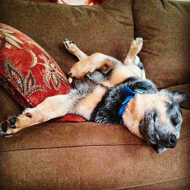 Remi