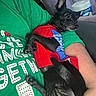 dog, small_dog, black_dog, sweater, clothing, person, green_shirt, text_on_shirt, arm, indoor, couch, container, relaxed, pet, animal, seated, cozy, closeup, casual, resting