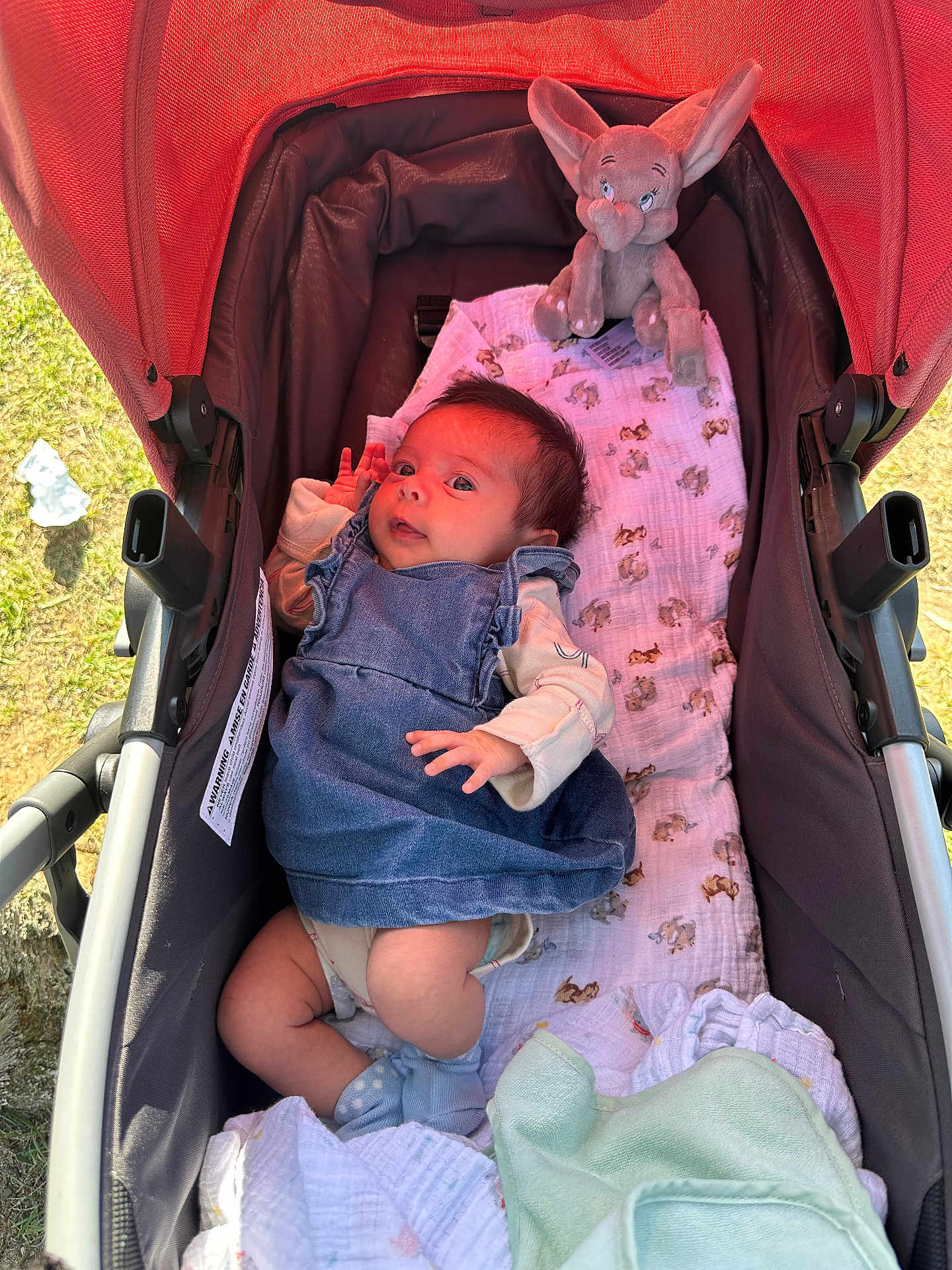 Araceli is registered to the contest to win money with this photo: baby, stroller, denim_dress, plush_toy, elephant_toy, blanket, socks, infant, outdoor, sunlight, grass, curious, child, clothing, soft_toy, baby_blanket, cute, portrait, young_child, resting