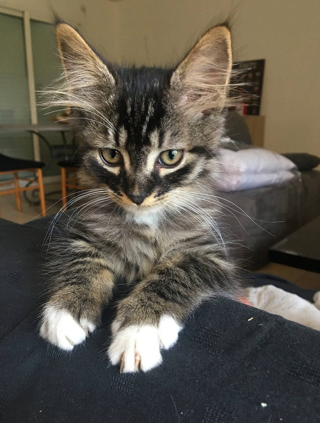 Olaf