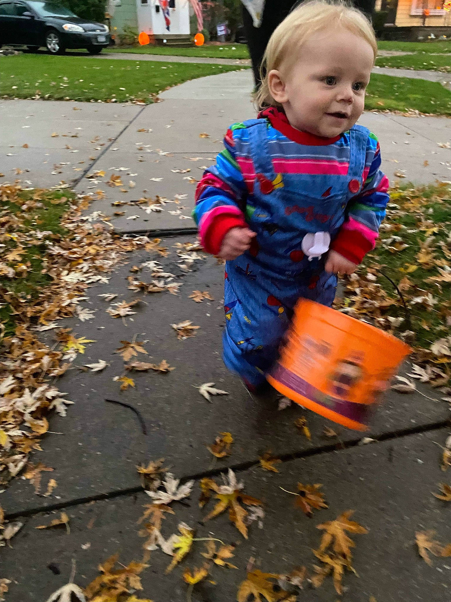 Donald joined the competition — help win amazing prizes! asphalt, baby, baby_toddler_clothing, car, child, deciduous, face, grass, leaf, people_in_nature, person, photograph, plant, public_space, road_surface, sidewalk, tire, toddler, tree, wood