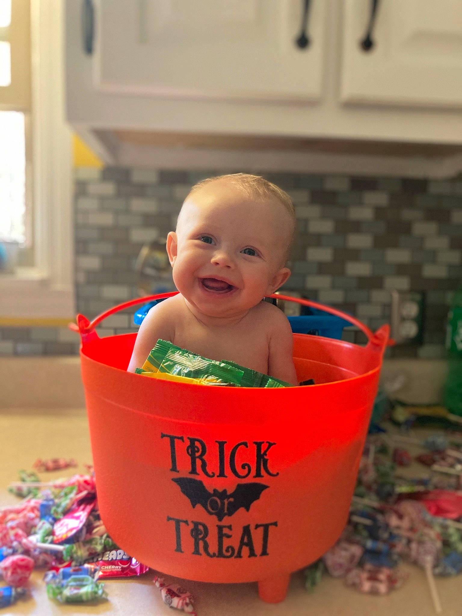 Paige is registered to the contest to win money with this photo: baby, baby_playing_with_toys, child, joy, person, plastic, play, toddler