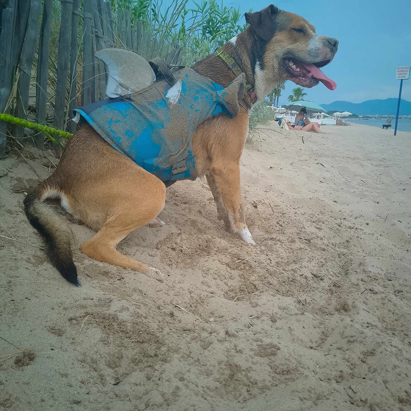 Tyson
