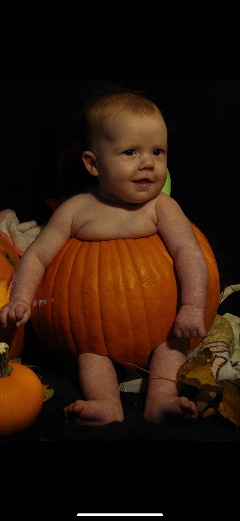 Memphis joined the competition — help win amazing prizes! calabaza, cucurbita, dress, flooring, fruit, gourd, human_body, mouth, natural_foods, orange, person, plant, produce, pumpkin, smile, squash, toddler, vegetable, whole_food, winter_squash