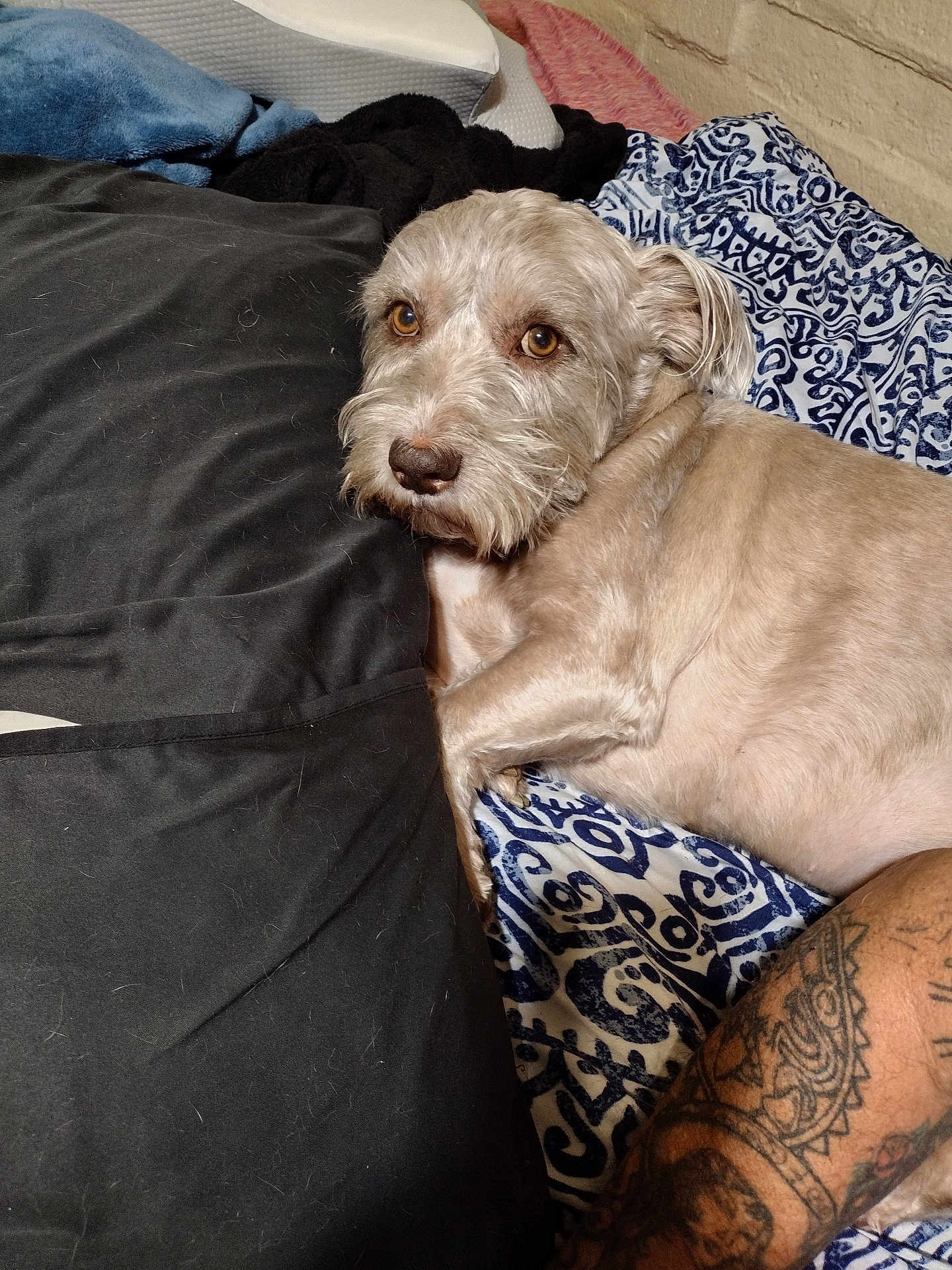 Fatboy