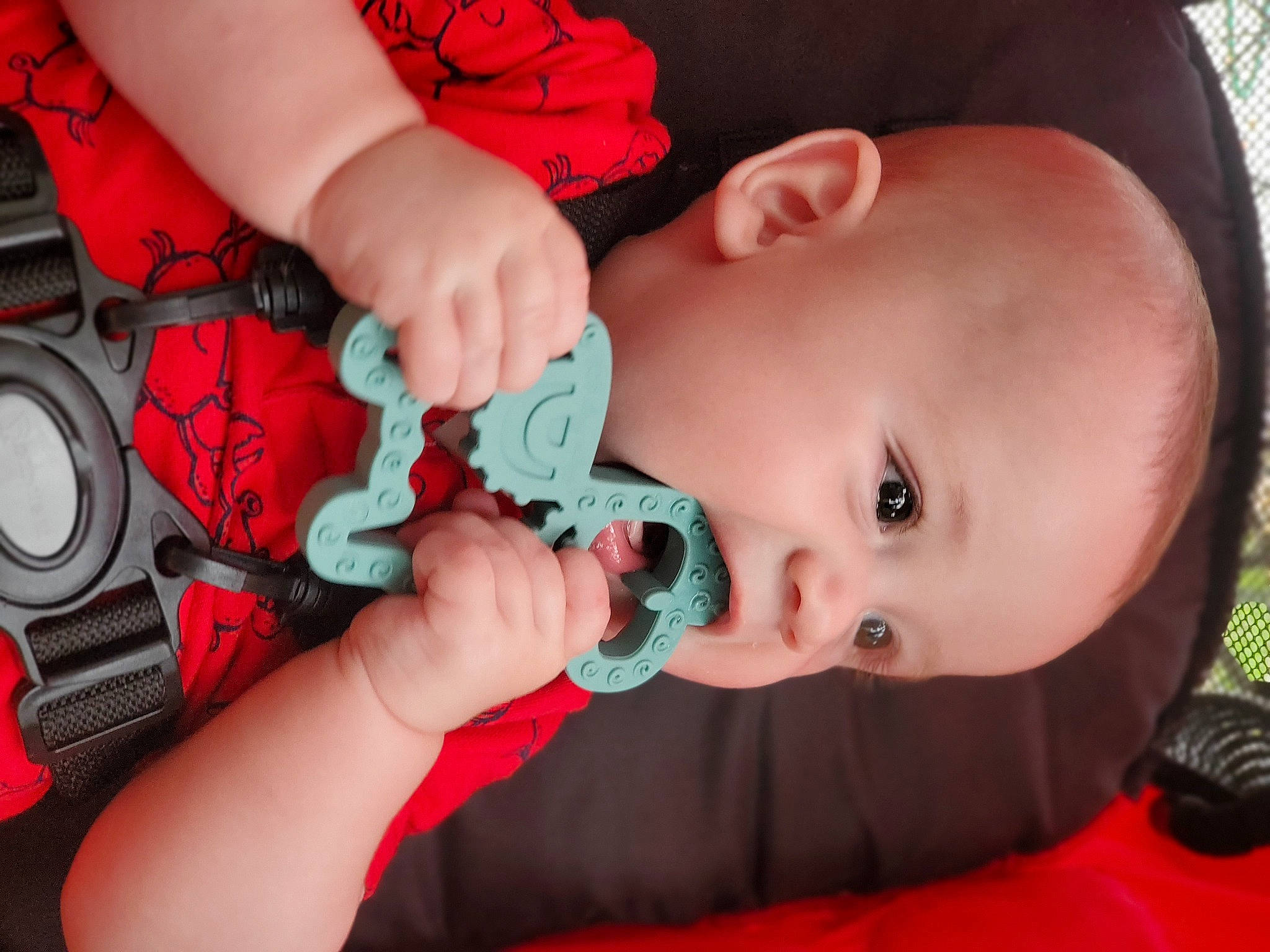 Atlas joined the competition — help win amazing prizes! baby, baby_toddler_clothing, cheek, dress, ear, eye, eyelash, facial_expression, finger, hand, head, human_body, iris, lip, mouth, nose, organ, person, pink, product
