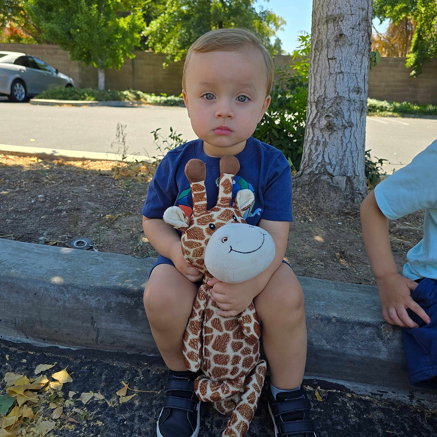Liam is registered to the contest to win money with this photo: boy, child, clothing, face, footwear, grass, head, male, nature, outdoors, park, person, photography, plant, portrait, shoe, shorts, sitting, tree, vegetation